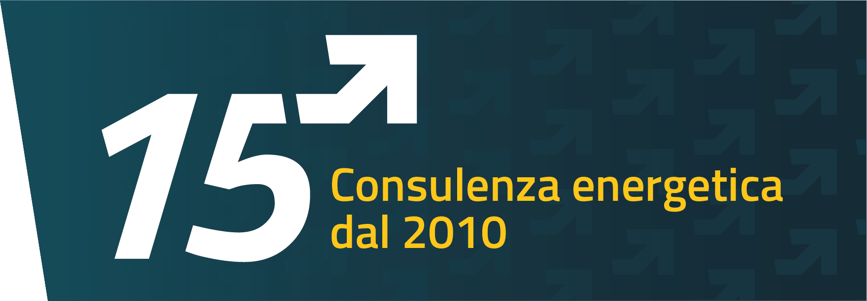 consulenza energetica dal 2010