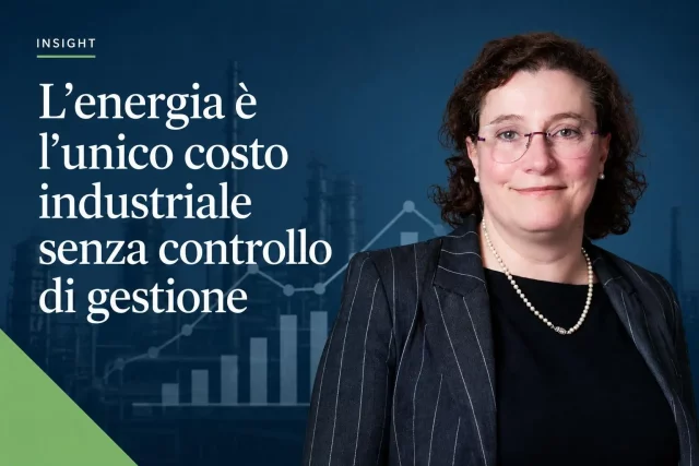 energia unico costo industriale senza controllo marini